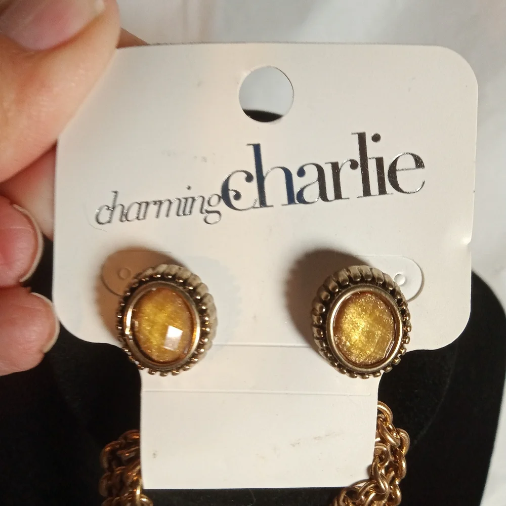 NWT Gorgeous Charming Charlie Cleopatra style necklace 😍🥰😍 - Picture 7 of 8